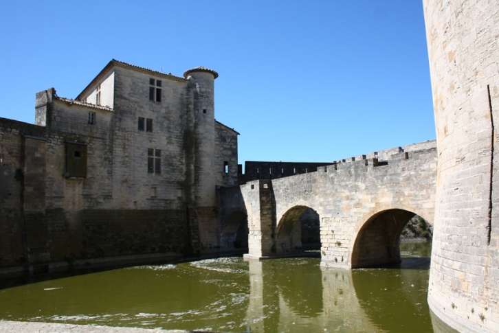 Strano pesce - Aigues Mortes