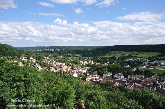 Haute Valle de Chevreuse, France