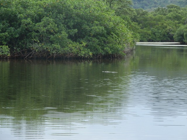 Ricordi del Costa Rica