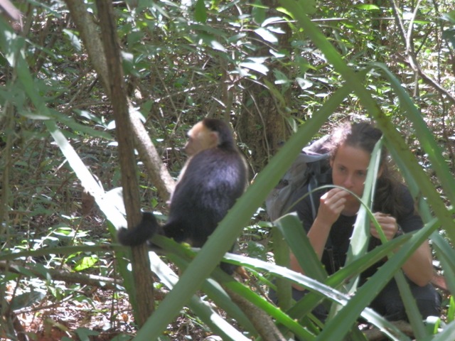 Ricordi del Costa Rica