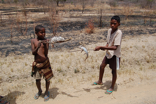 Madagascar 2006