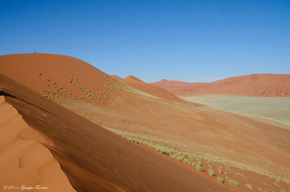 Deserto del Namib (Namibia)