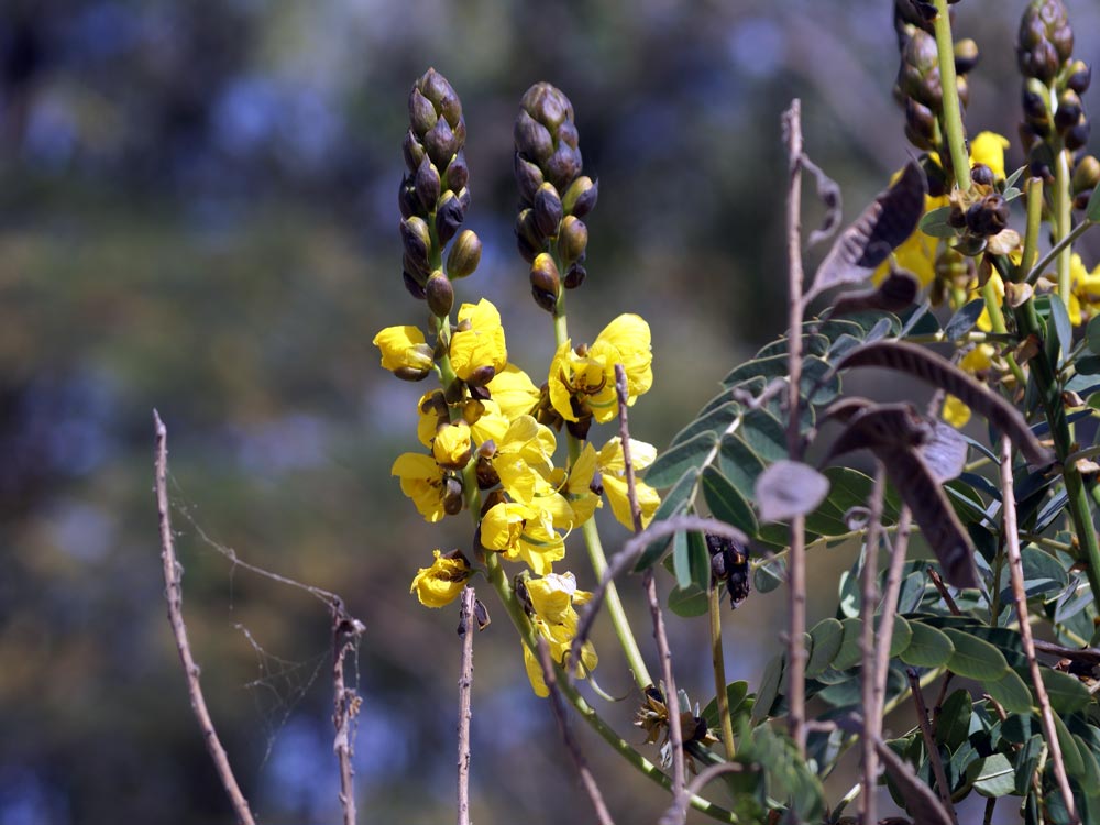 Etiopia, unica foto