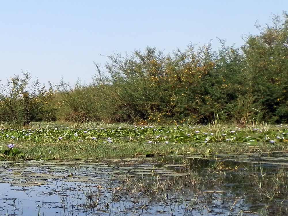 lago Awasa - Etiopia