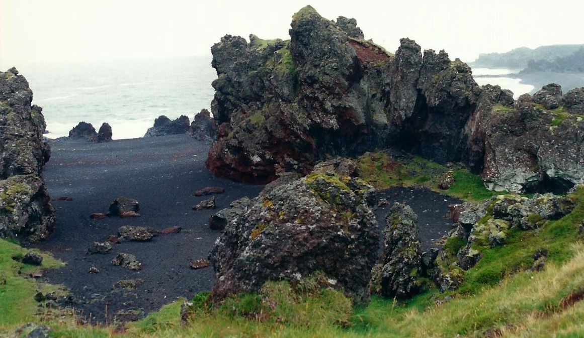 In Islanda: carcassa di foca