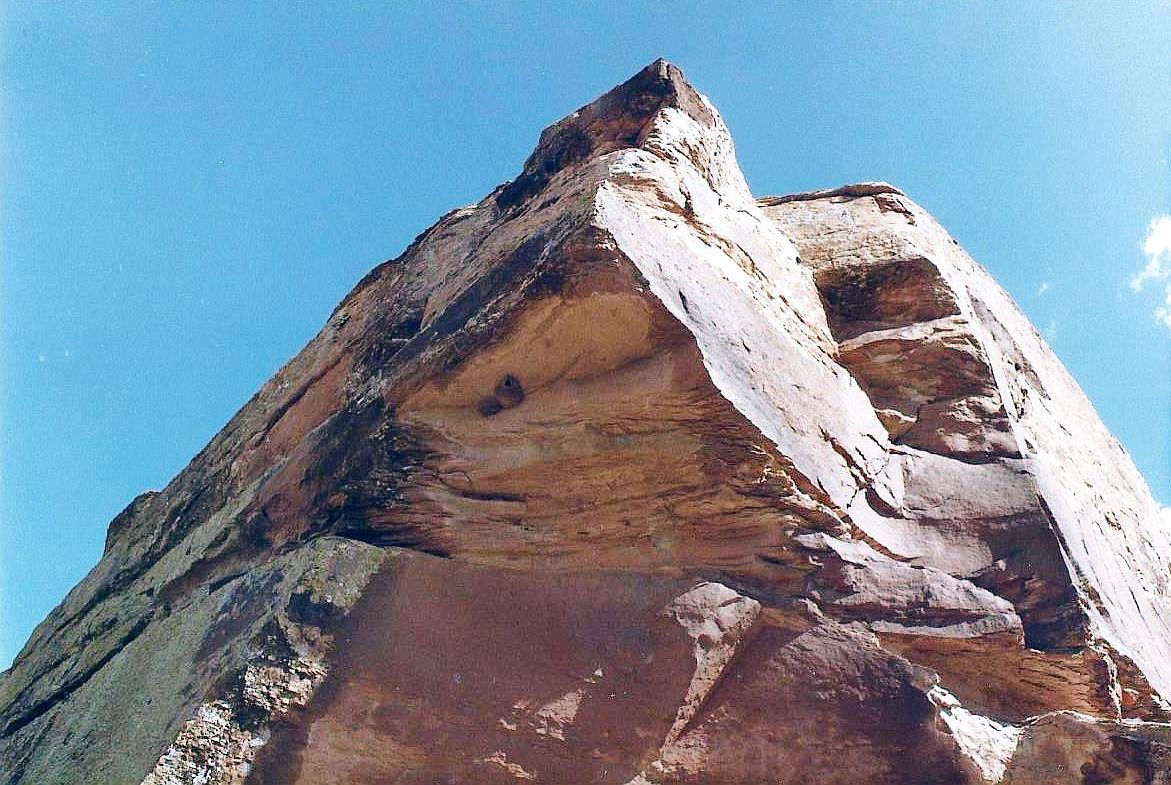 Arizona: un nido sotto una roccia