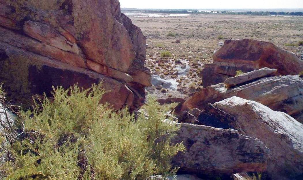 Arizona: un nido sotto una roccia