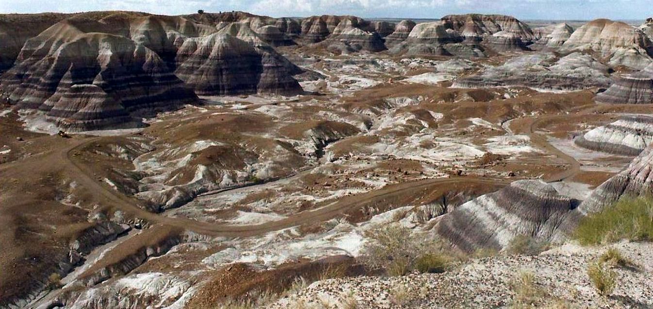 Arizona: un nido sotto una roccia