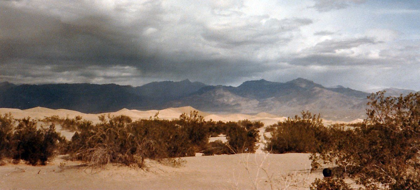 Dalla California, Death Valley: Phoenix dactylifera (ed altra vegetazione))