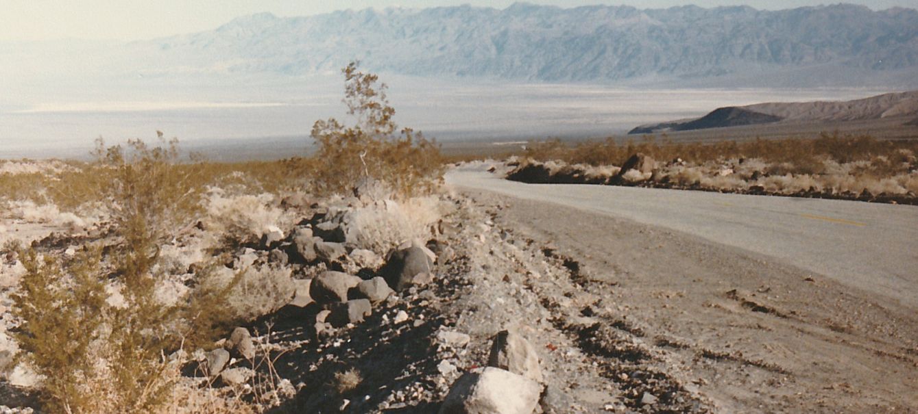 Dalla California, Death Valley: Phoenix dactylifera (ed altra vegetazione))